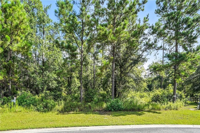 54 Salt Marsh Ct, Brunswick, GA 31523 - photo 3