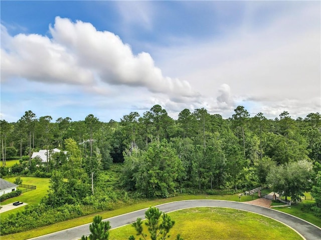 54 Salt Marsh Ct, Brunswick, GA 31523 - photo 4