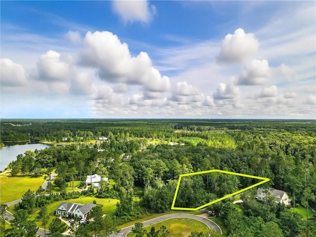 54 Salt Marsh Ct, Brunswick, GA 31523 - photo 6