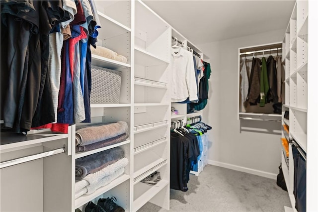 288 Chestnut Dr, Brunswick, GA 31523 - spacious closet with carpet flooring