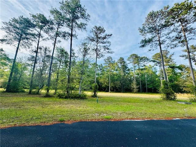 LOT641 Dune Meadow Cir NE, Townsend GA, 31331 land for sale