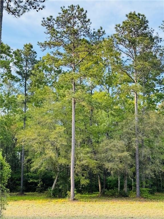 Listing photo 3 for LOT641 Dune Meadow Cir NE, Townsend GA 31331