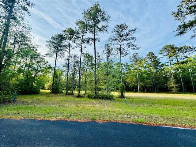 Listing photo 2 for LOT641 Dune Meadow Cir NE, Townsend GA 31331