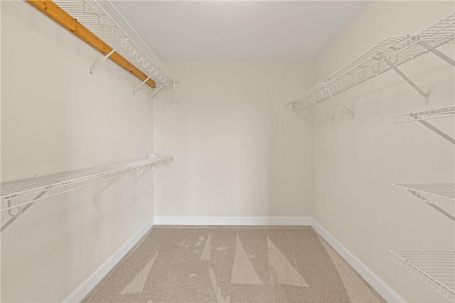 91 Screven St, Darien, GA 31305 - walk in closet with carpet