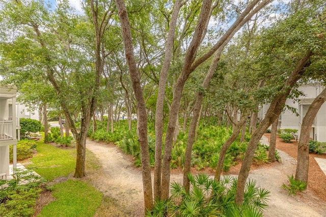 1175 N Beachview Dr Unit 414, Jekyll Island, GA 31527 - view of yard