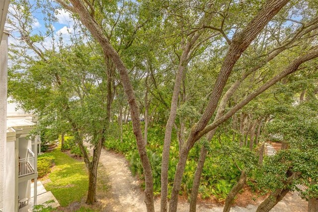 1175 N Beachview Dr Unit 414, Jekyll Island, GA 31527 - view of yard