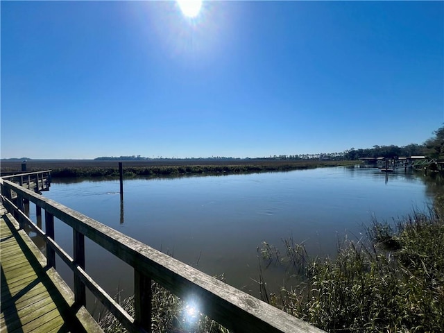 dock area with a water view