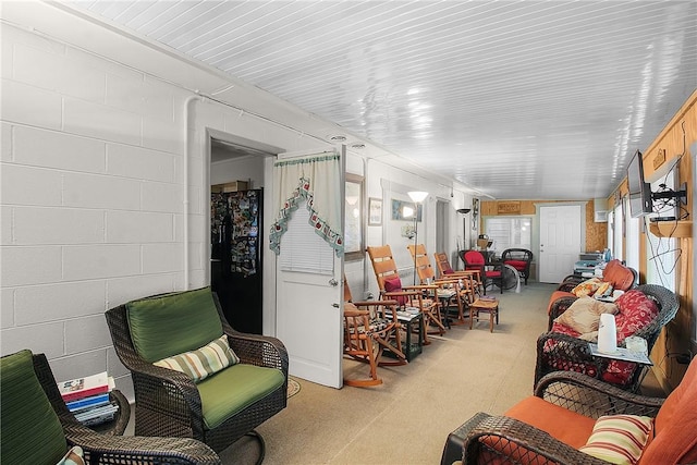 living room featuring light colored carpet