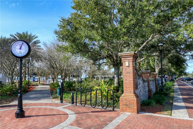 208 Bishop Cir, Saint Marys, GA 31558 - view of property's community