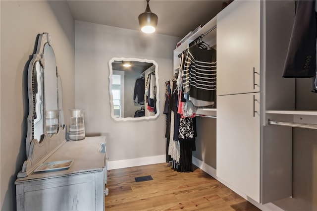 208 Bishop Cir, Saint Marys, GA 31558 - walk in closet with light wood finished floors