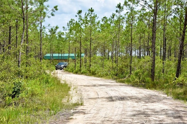 6007 Quick Draw Rd, Manor, GA 31552
