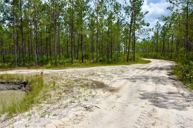 6007 Quick Draw Rd, Manor, GA 31552