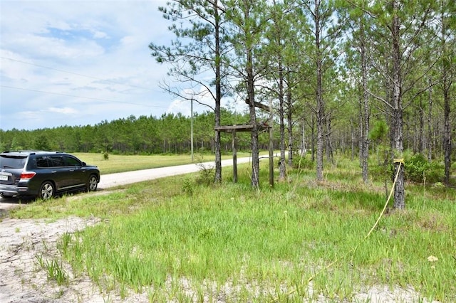 6007 Quick Draw Rd, Manor, GA 31552