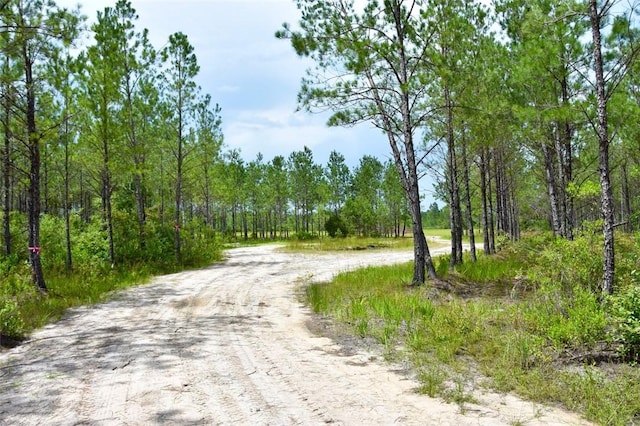 6007 Quick Draw Rd, Manor, GA 31552