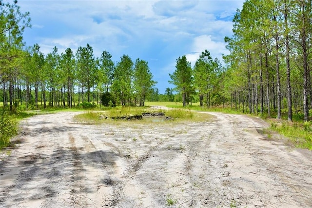 6007 Quick Draw Rd, Manor, GA 31552