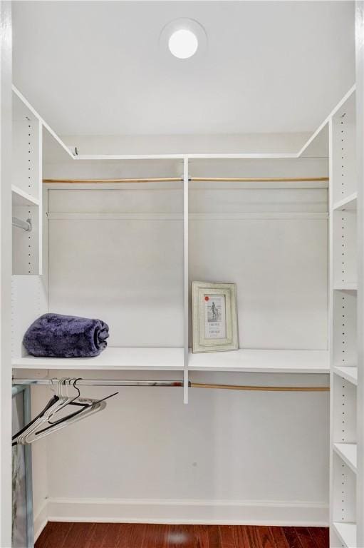 walk in closet featuring dark hardwood / wood-style flooring