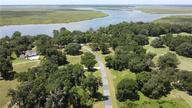 bird's eye view with a water view and a view of trees