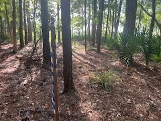 1059 NE Refuge Pt, Townsend, GA 31331 - photo 10