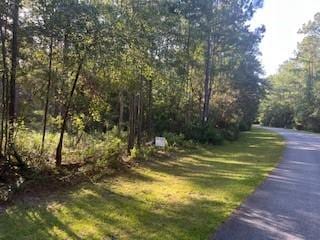 1059 NE Refuge Pt, Townsend, GA 31331 - photo 2
