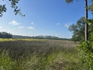 1059 NE Refuge Pt, Townsend, GA 31331 - photo 1