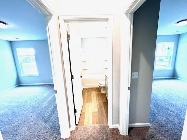 hallway featuring baseboards and carpet floors