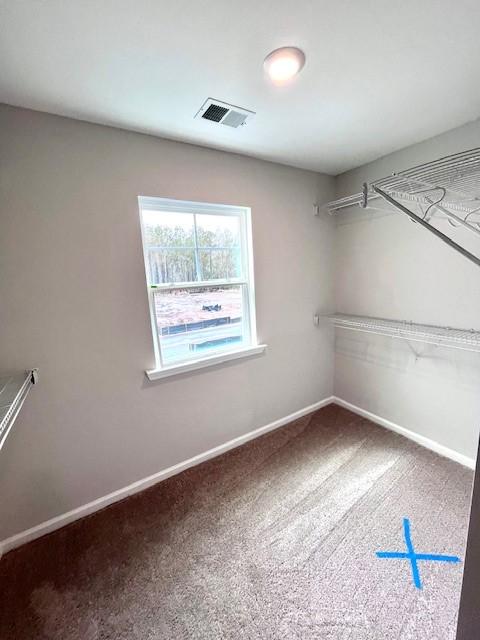 spacious closet with visible vents and carpet floors