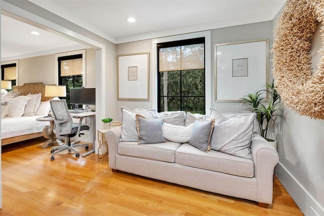 living room with hardwood / wood-style flooring