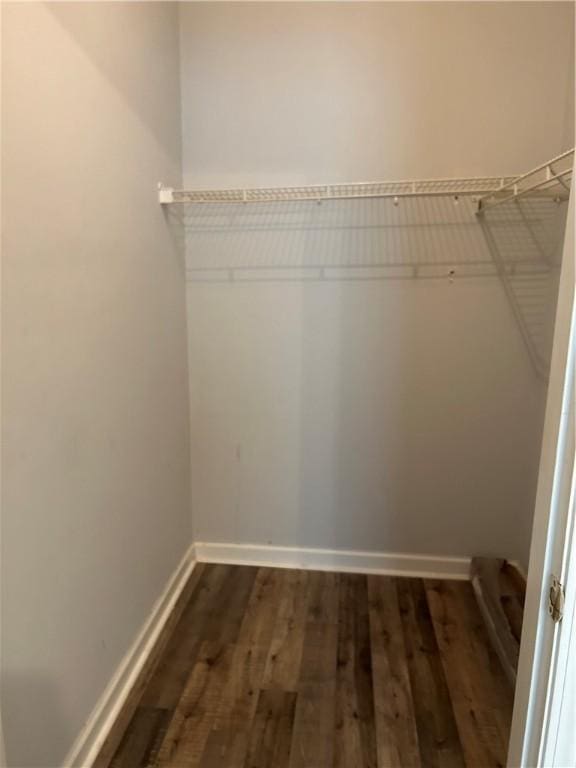 366 Moss Creek Ln, Brunswick, GA 31520 - walk in closet with dark wood-style floors
