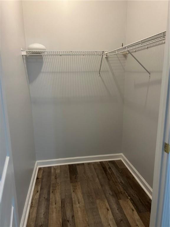 366 Moss Creek Ln, Brunswick, GA 31520 - walk in closet with dark wood finished floors