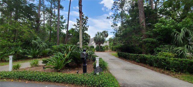 122 Shore Rush Dr, Saint Simons Island, GA 31522 - photo 24