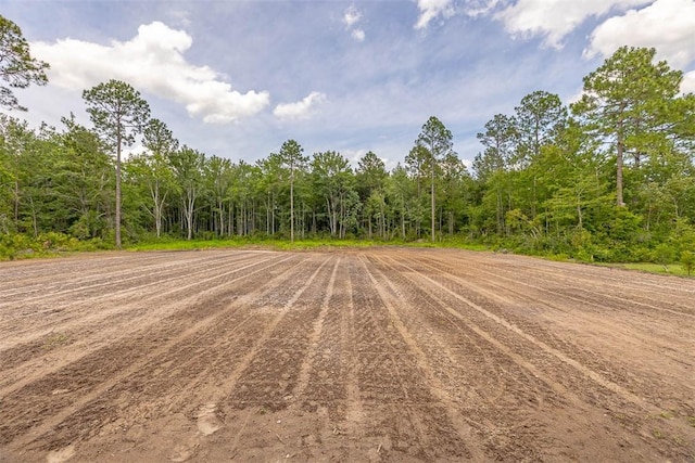 94 Silver Bluff Dr, Brunswick, GA 31523 - view of yard