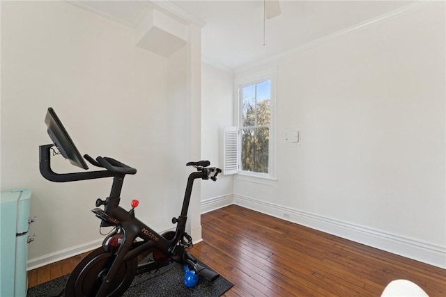 workout room with dark hardwood / wood-style flooring and ornamental molding