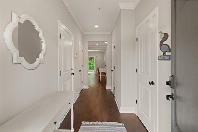 hallway with dark hardwood / wood-style flooring and crown molding