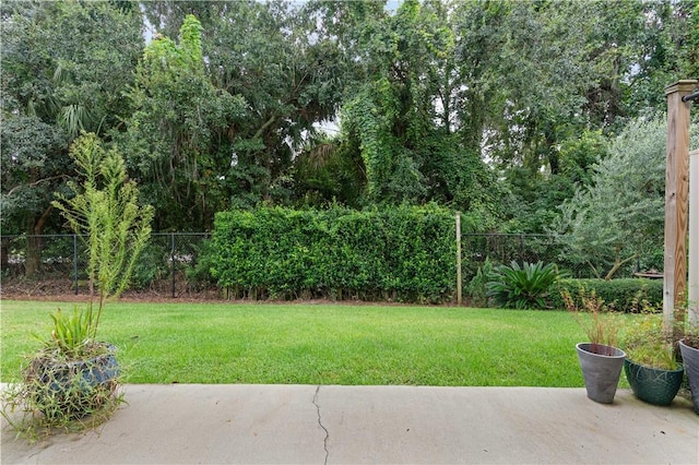 view of yard featuring a patio