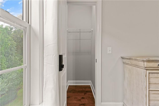 interior space featuring hardwood / wood-style floors