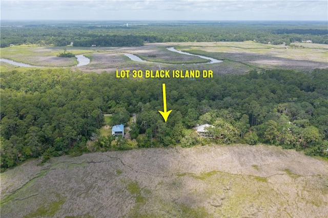 LOT30 Black Island Rd, Darien, GA 31305 - photo 9