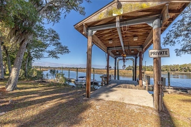 LOT30 Black Island Rd, Darien, GA 31305 - photo 4