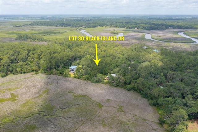 LOT30 Black Island Rd, Darien, GA 31305 - photo 8