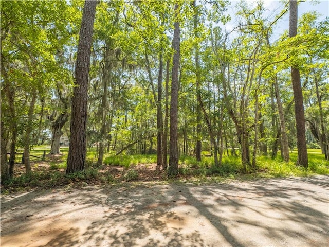 LOT30 Black Island Rd, Darien, GA 31305 - photo 2