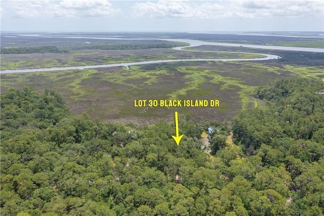 LOT30 Black Island Rd, Darien, GA 31305 - photo 16