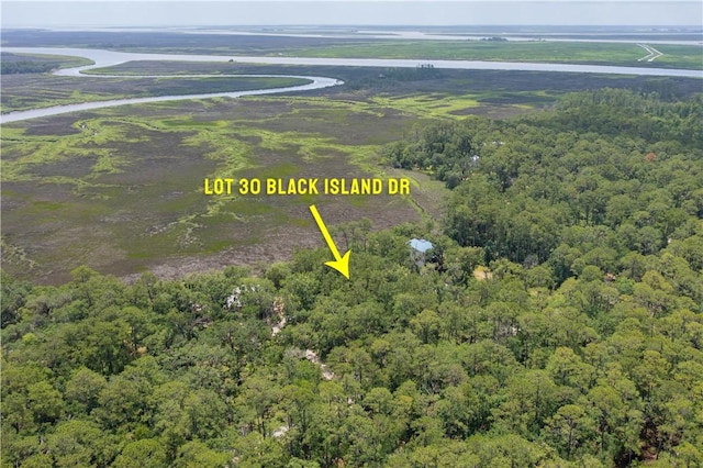 LOT30 Black Island Rd, Darien, GA 31305 - photo 15