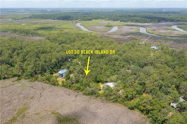 LOT30 Black Island Rd, Darien, GA 31305 - photo 1