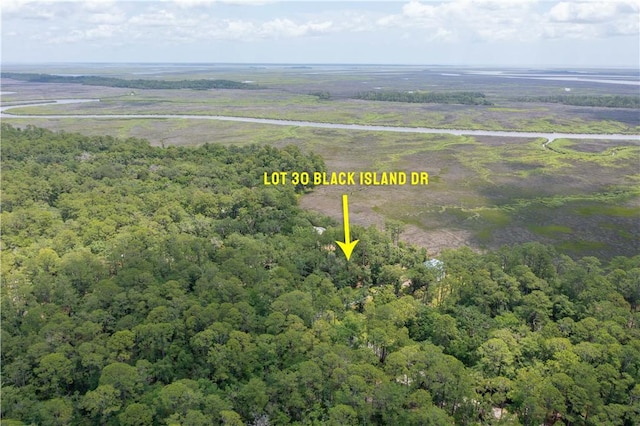 LOT30 Black Island Rd, Darien, GA 31305 - photo 17