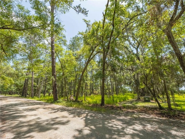 LOT30 Black Island Rd, Darien, GA 31305 - photo 5