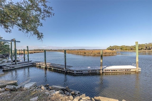 LOT30 Black Island Rd, Darien, GA 31305 - photo 21