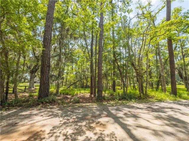 LOT30 Black Island Rd, Darien, GA 31305 - photo 7
