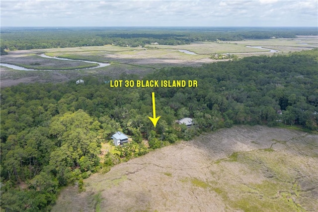 LOT30 Black Island Rd, Darien, GA 31305 - photo 10