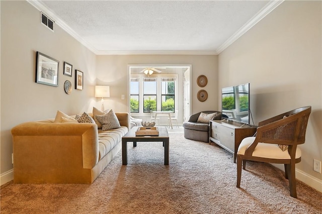 carpeted living area with crown molding, baseboards, and a textured ceiling
