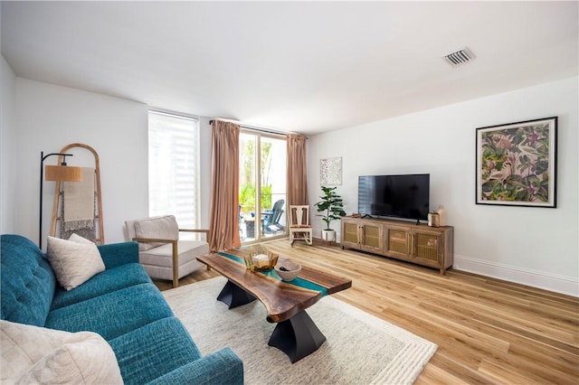 living room featuring wood-type flooring