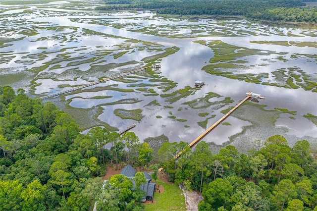 drone / aerial view with a water view